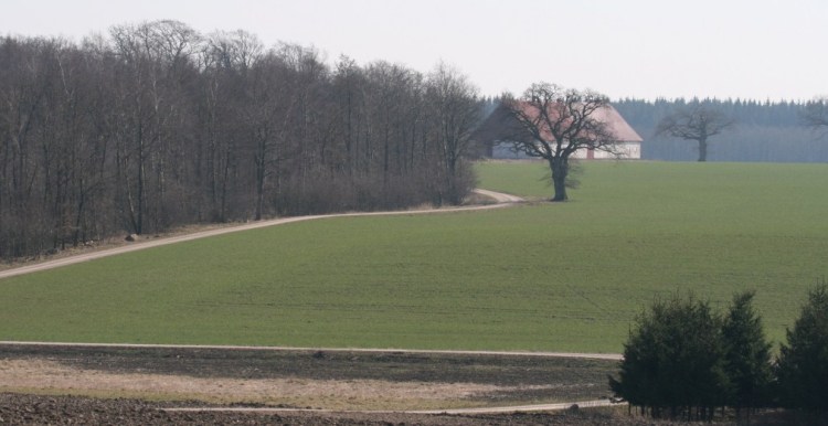 natur